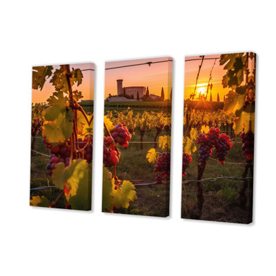 Castles Wall Art Set - Beautiful Sunset Castle Italian Vineyard