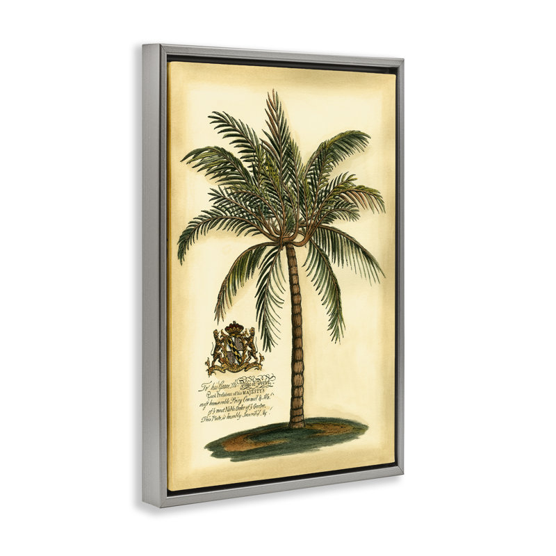 Cadre flottant British Colonial Palm, design par Vision Studio, H 31 po x l 21 po, Cadre flottant gris lustré