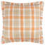 Arrochar Indoor / Outdoor Square Cushion-122814133