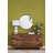 30" X 32" Round  Mirror-1680217391-1680217360