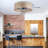 Ceiling Fan Light Flush Mount With Remote