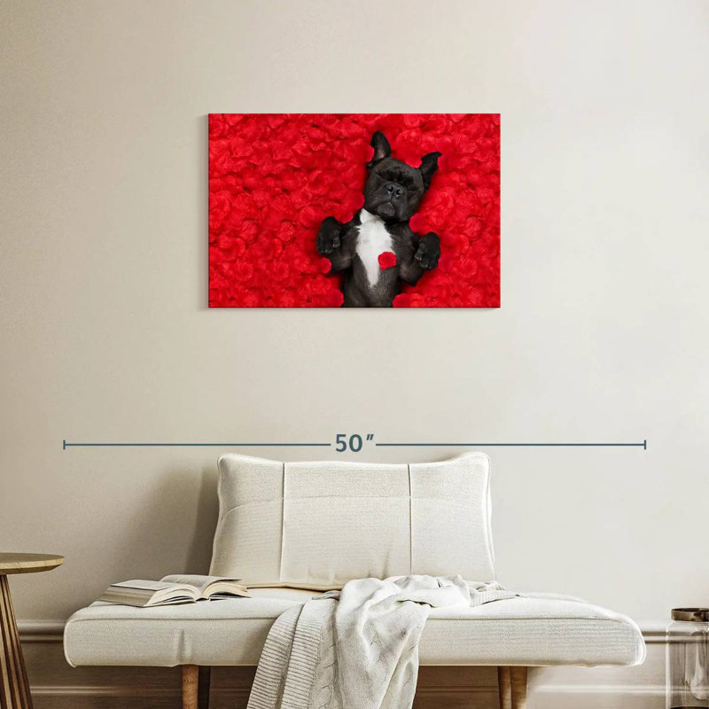Bouledogue français Brampt Valentines, H 20 po x l 30 po