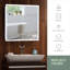 Seibert 650mm W 700mm H Surface Frameless Medicine Cabinet Mirror 2 Adjustable