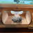 Resh In-House Breadbox Window Bird Feeder