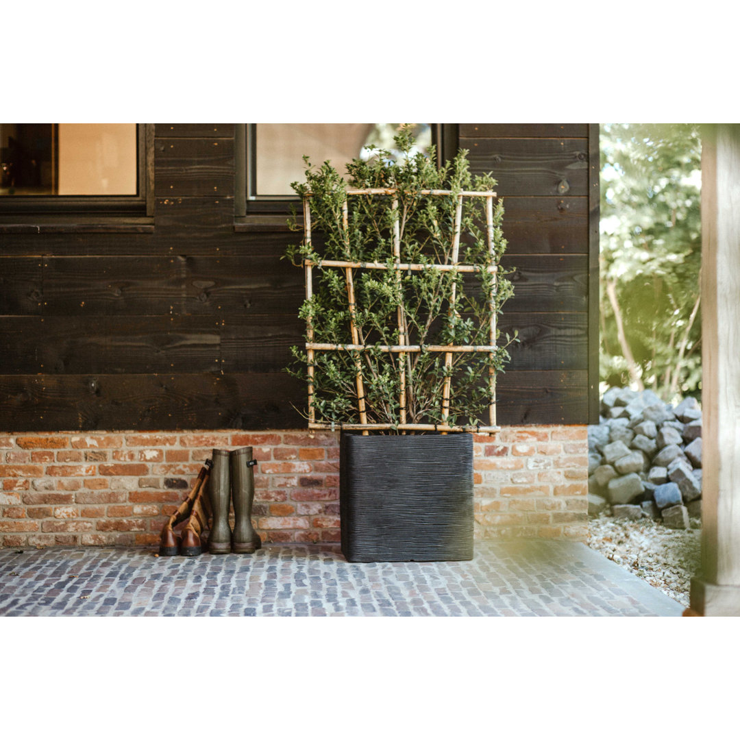 Planter Box