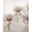 Les Fleurs III Painting by D’Alessandro Leon-64974620