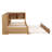 Daybed With Trundle,Storage Cabinets And USB Ports-206378269-247884180