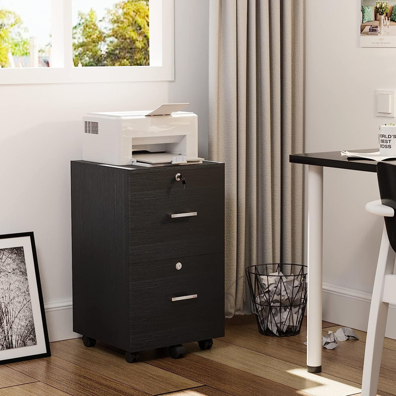 Kayeson 15.7'' Wide 2 -Drawer Mobile File Cabinet, Black