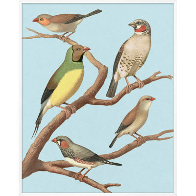 Perché, reproduction d'art graphique encadrée de 1 pi