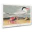 Cayenne Tern Bird with Crab by John Audubon - Wrapped Canvas-55304144