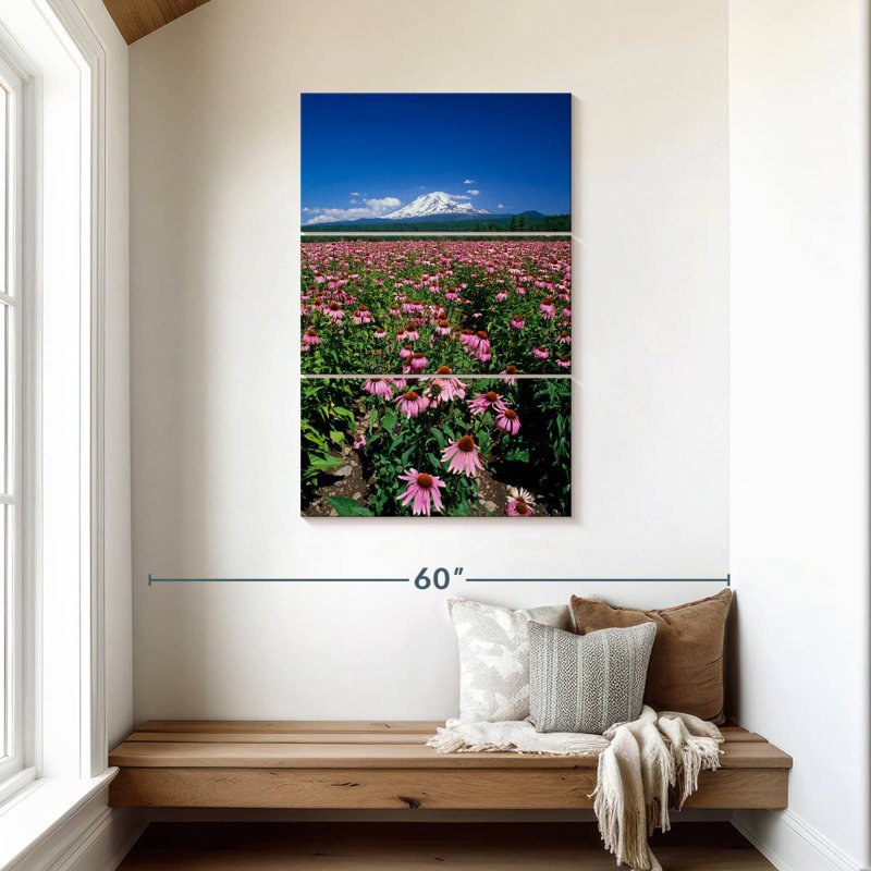 Harnek Echinacea Field, 45" H x 28" W