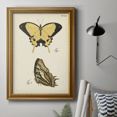 " Butterfly Profile II " Painting Print
