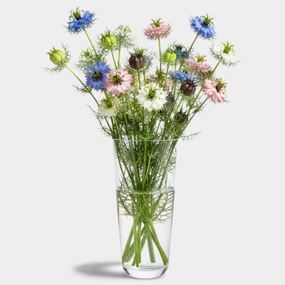 8" Almere Recycled Glass Vase, 27 oz Capacity