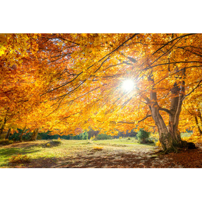 Paysage d'automne - Photographie sur toile tendue