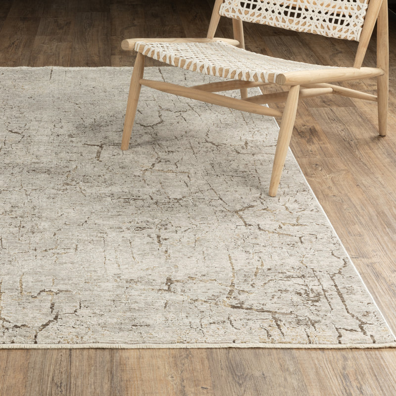 Telisa Distressed Stone Grey/ Gold Area Rug, Runner 2'6" x 7'6"