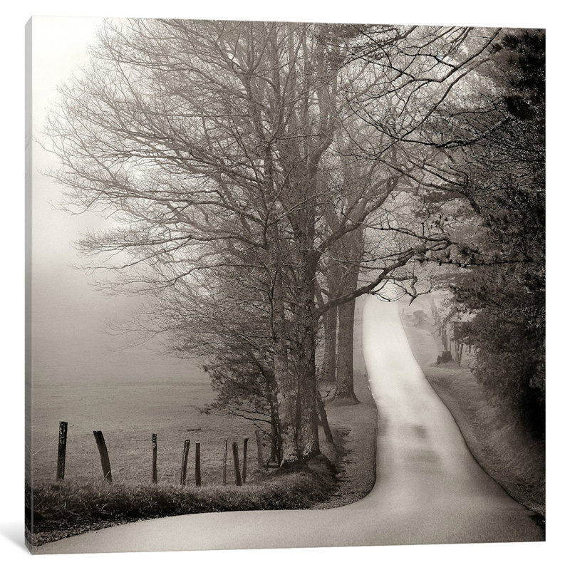 « cades cove loop », reproduction de photo sur toile, H 37 po x l 37 po x P 1,5 po