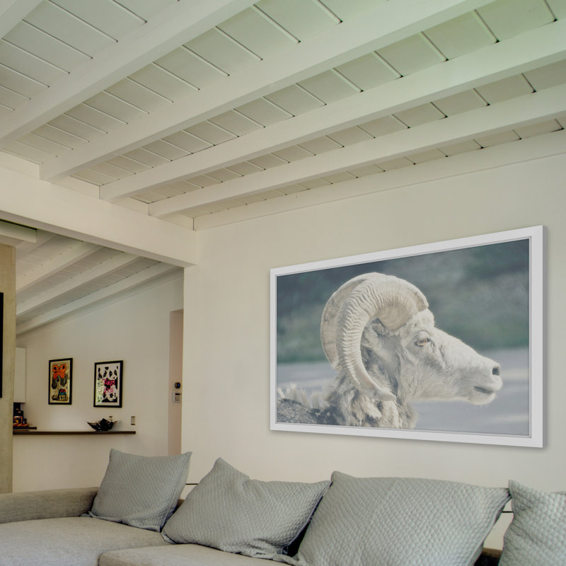 Parvez Taj - Single Picture Frame Print, 41cm H x 61cm W x 3.81cm D