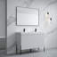 Ensemble de meuble-lavabo double 48 po Nalis-1437163650-1437196489
