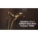 5-Setting HydroRain 2-in-1 Dual Shower Head with ProClean Spray
