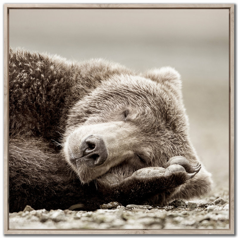 «Sleeping Bear», art mural