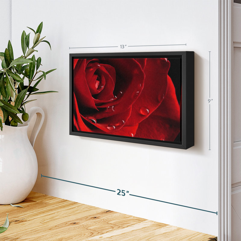 Impression sur toile Fresh Red Rose, H 9 po x l 13 po