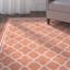 Herefordshire Indoor/Outdoor Hooked Terracotta/Bone Rug-15827047