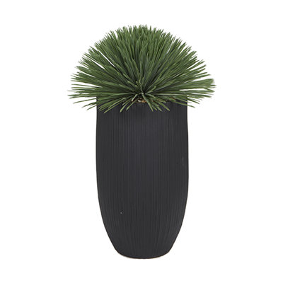 Yucca Rostrata in Medium White Nell Planter