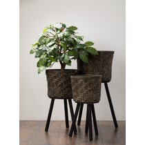 https://assets.wfcdn.com/im/17515053/resize-h210-w210%5Ecompr-r85/1335/133535549/Manufahi+Pot+Planter.jpg