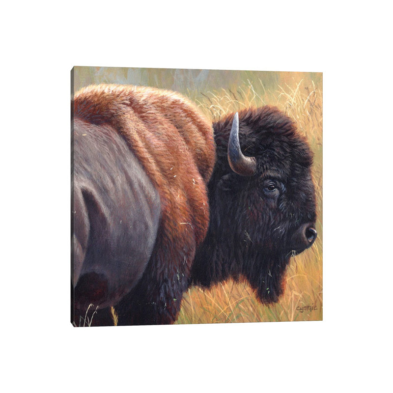 Cynthie Fisher - Wrapped Canvas Print, 30.48 cm H x 30.48 cm W