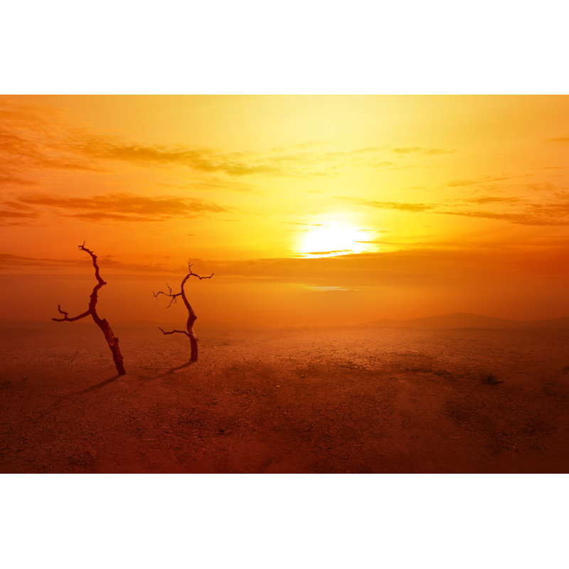 Leolintang - Wrapped Canvas Print, 61cm H x 91cm W x 3.8cm D