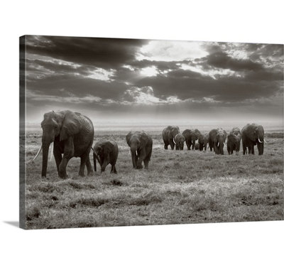 « amboseli éléphants » par jorge llovet, reproduction de photo sur toile