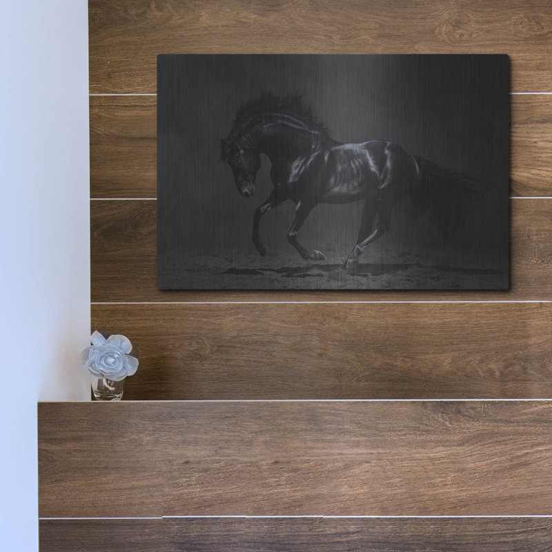 «Onyx» par PhotoINC Studio, H 12 po x l 16 po