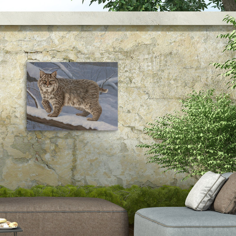 Toile d'extérieur Jeff Hoff Bobcat, H 14 po x l 19 po