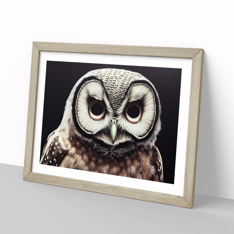 Face Of An Owl Vol.2 - Single Picture Frame Print, 25cm H x 34cm W x 2cm D, Oak Framed
