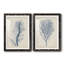 Indigo Coral-1687557489-1687557484-1687523540