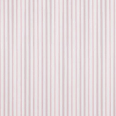 Blass Ticking Fabric