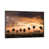 Gris n'est pas disponible