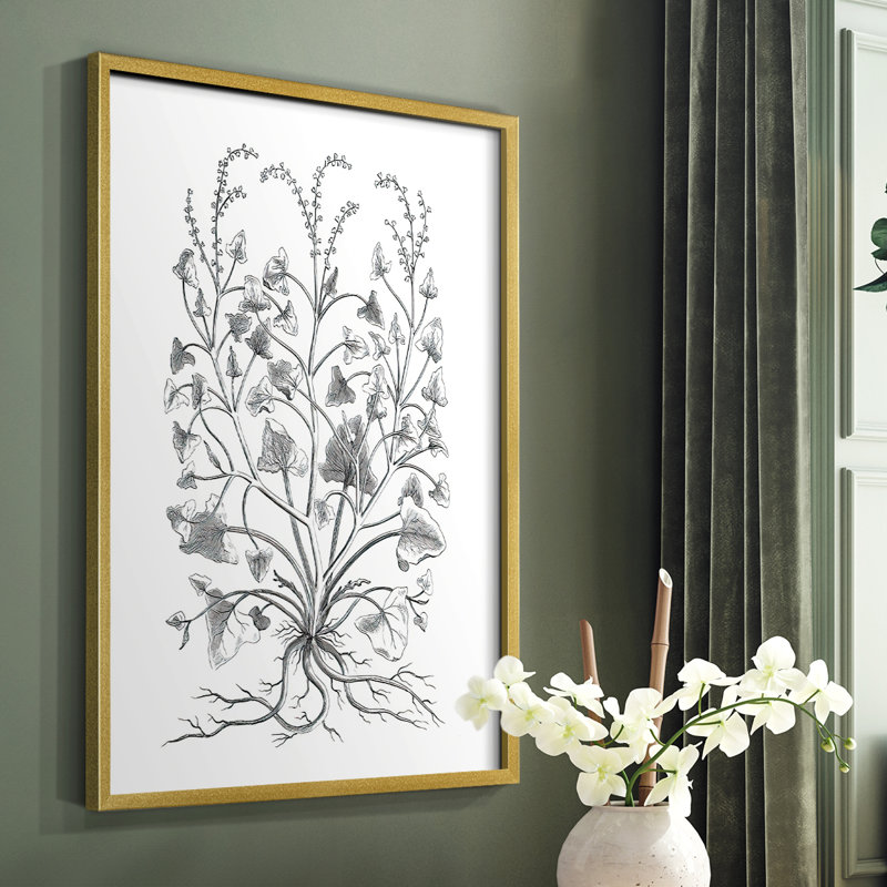 «B&W Plant Speciment», reproduction encadrée - bois massif, Or, H 10 po x l 8 po
