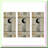 Silver 37th Birthday Celebration Kit 12-Pack