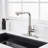 Pull Down Single Handle Kitchen Faucet With Deck Plate, Handles and Supply Lines-60743609