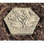 Powder Springs Stone Stepping Stone