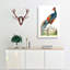 Fire-Backed Pheasant by George Shaw - Wrapped Canvas-55304574
