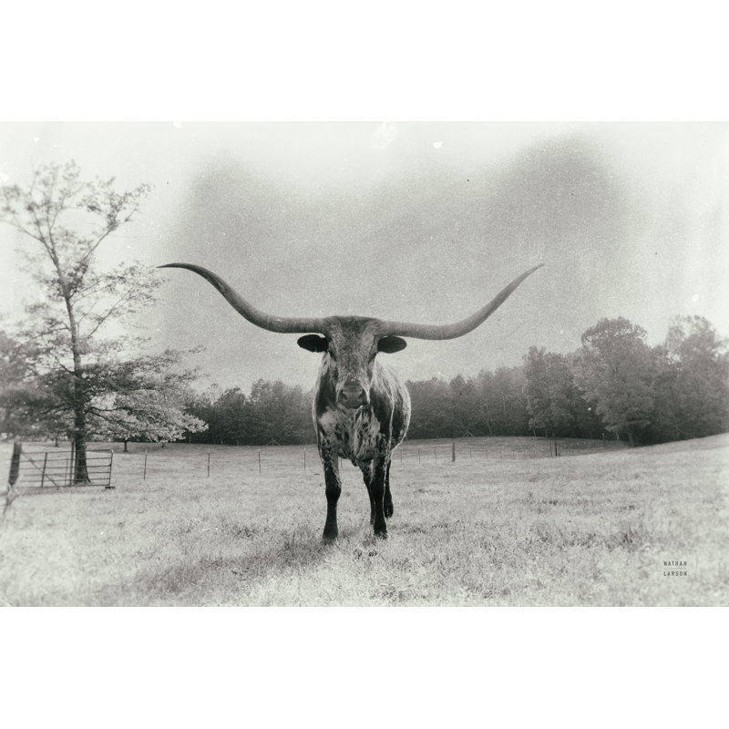 Longhorn rétro-éclairé vieilli par Nathan Larson, H 8 po x l 12 po
