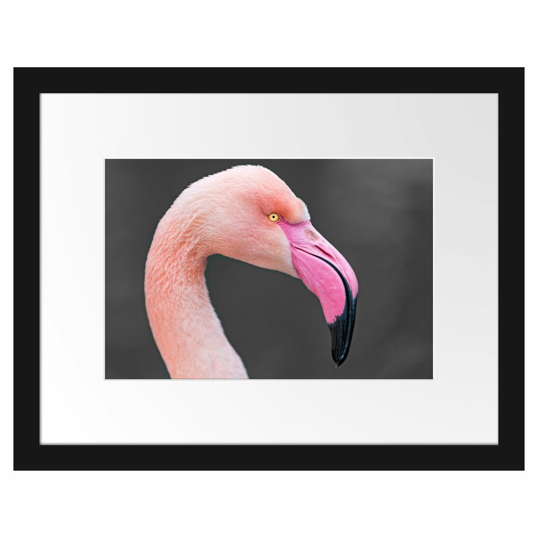 Gerahmtes Poster Flamingo im Seitenprofil