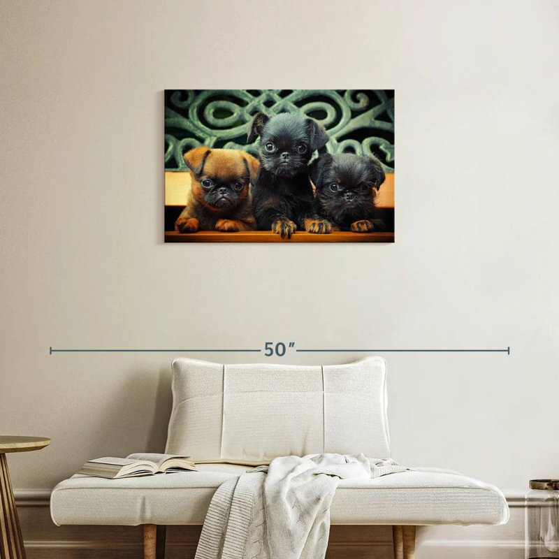 Griffon Puppies, 20" H x 30" W
