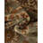 Niles Oriental Indoor Rug-919892732