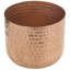 15.2 cm Hammered Style Succulent Planter Pot