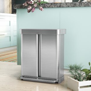 https://assets.wfcdn.com/im/17520792/resize-h310-w310%5Ecompr-r85/6685/66850291/simplehuman-58l-153-gallon-hands-free-dual-compartment-recycling-kitchen-step-trash-can-with-lid.jpg