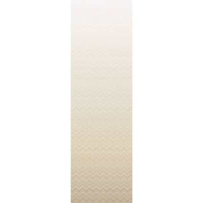 Iconic Shades Chevron Double Roll
