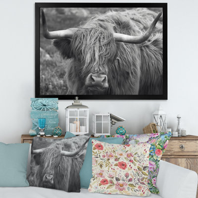 «Scottish Cow on Moorland I» - photographie sur toile